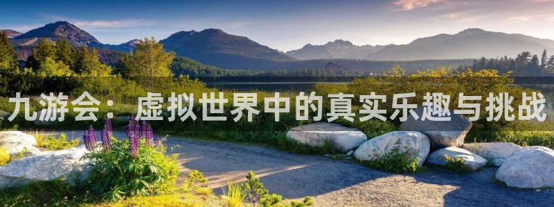 耀世娱乐能源：九游会：虚拟世界中的真实乐趣与挑战