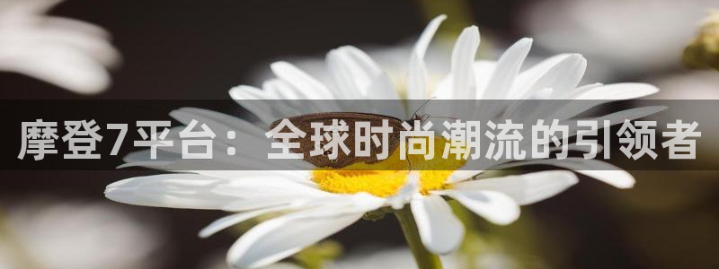 耀世娱乐登陆