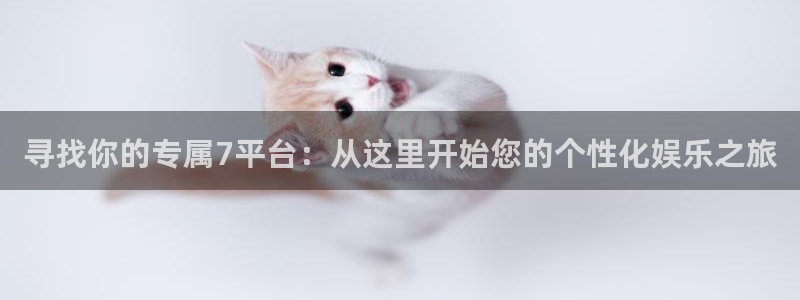 成都耀世娱乐电子有限公司：寻找你的专属7平台：从这里开始您的个性化娱乐之旅