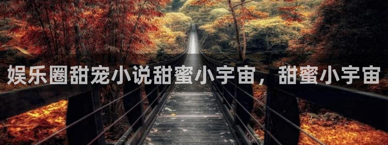 耀世娱乐3代理：娱乐圈甜宠小说甜蜜小宇宙，甜蜜小宇宙
