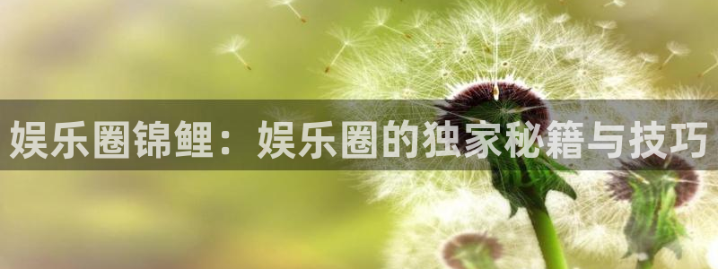 耀世娱乐2注册：娱乐圈锦鲤：娱乐圈的独家秘籍与技巧