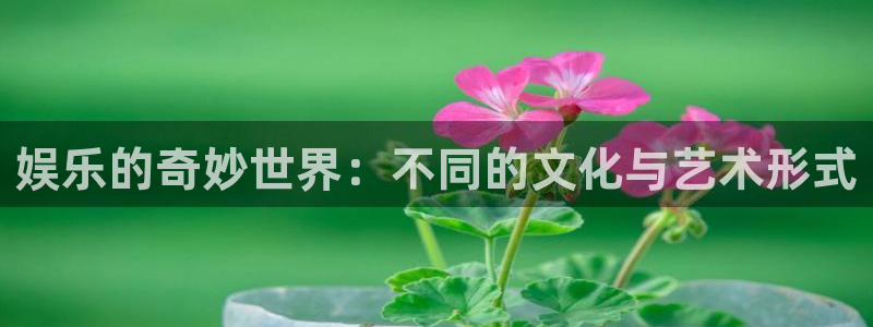 耀世娱乐体育凯捷登陆：娱乐的奇妙世界：不同的文化与艺术形式