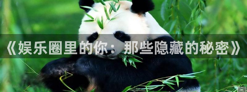 耀世娱乐体育娱乐注册链接：《娱乐圈里的你：那些隐藏的秘密》