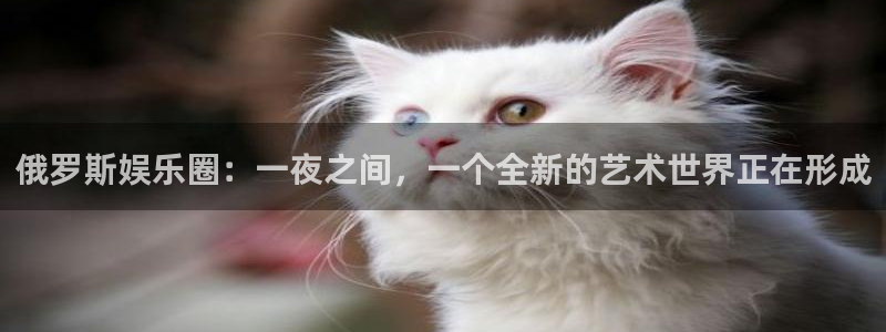耀世娱乐体育3：俄罗斯娱乐圈：一夜之间，一个全新的艺术世界正在形成