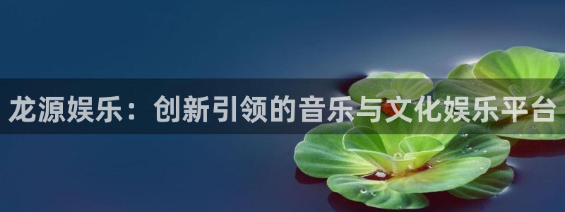 耀世娱乐体育网页版入口：龙源娱乐：创新引领的音乐与文化娱乐平台