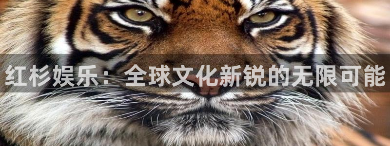耀世娱乐体育注册登录入口：红杉娱乐：全球文化新锐的无限可能