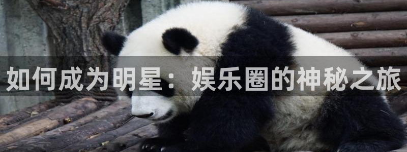 耀世娱乐5招商：如何成为明星：娱乐圈的神秘之旅