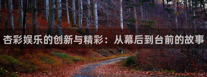 耀世娱乐集团股票：杏彩娱乐的创新与精彩：从幕后到台前的故事