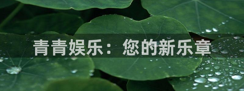 耀世娱乐体育平台登录入口：青青娱乐：您的新乐章