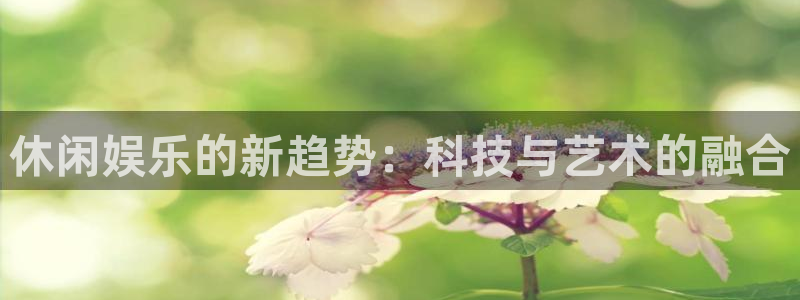 耀世娱乐体育凯捷代理注册：休闲娱乐的新趋势：科技与艺术的融合