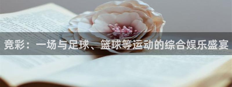 耀世娱乐登陆：竞彩：一场与足球、篮球等运动的综合娱乐盛宴