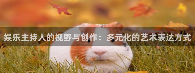 耀世娱乐4官网：娱乐主持人的视野与创作：多元化的艺术表达方式