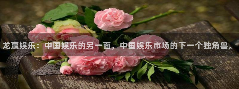 耀世娱乐：龙赢娱乐：中国娱乐的另一面，中国娱乐市场的下一个独角兽。