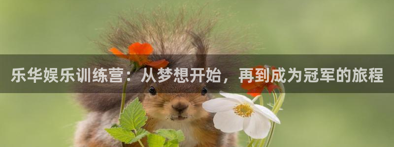 耀世娱乐体育游戏：乐华娱乐训练营：从梦想开始，再到成为冠军的旅程