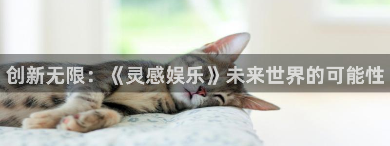 耀世娱乐体育老板是谁：创新无限：《灵感娱乐》未来世界的可能性