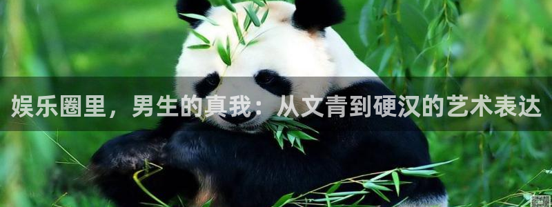 耀世娱乐2平台：娱乐圈里，男生的真我：从文青到硬汉的艺术表达