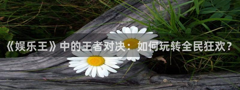 耀世娱乐体育凯捷平台招商：《娱乐王》中的王者对决：如何玩转全民狂欢？