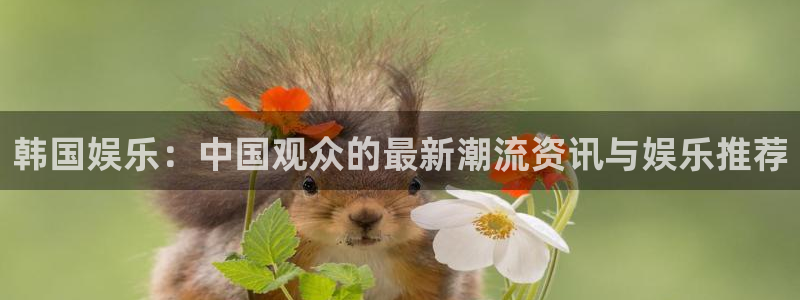 耀世娱乐vk