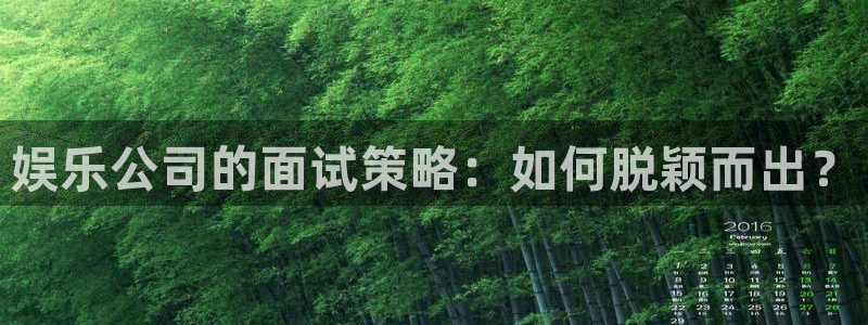 耀世娱乐集团股票：娱乐公司的面试策略：如何脱颖而出？