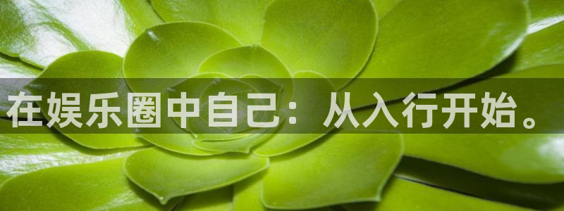耀世娱乐体育官网：在娱乐圈中自己：从入行开始。