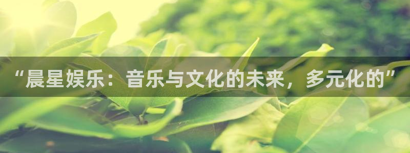 耀世娱乐登录界面入口：“晨星娱乐：音乐与文化的未来，多元化的”
