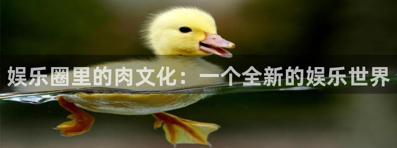 耀世娱乐3官网：娱乐圈里的肉文化：一个全新的娱乐世界