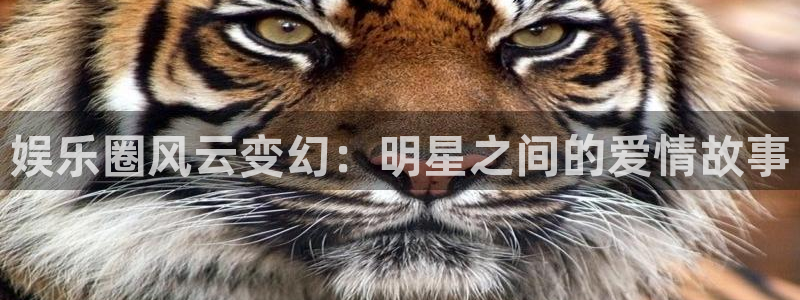 耀世娱乐4平台注册：娱乐圈风云变幻：明星之间的爱情故事