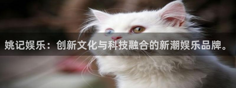 耀世娱乐体育f开号：姚记娱乐：创新文化与科技融合的新潮娱乐品牌。