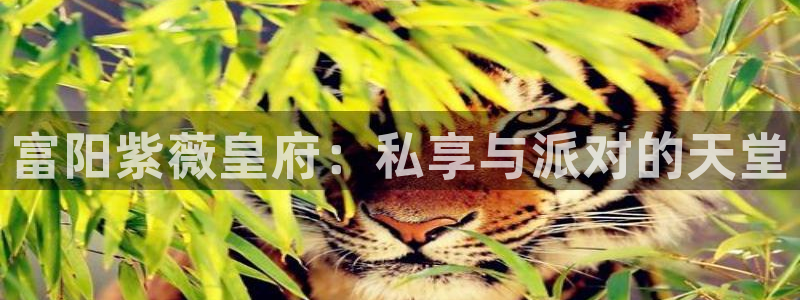 耀世娱乐2注册：富阳紫薇皇府：私享与派对的天堂