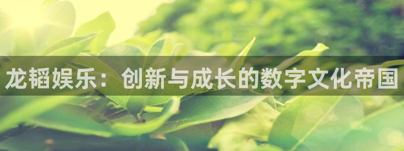 耀世娱乐招商：龙韬娱乐：创新与成长的数字文化帝国