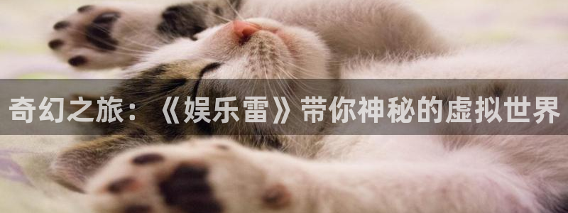 耀世娱乐f凯捷注册：奇幻之旅：《娱乐雷》带你神秘的虚拟世界