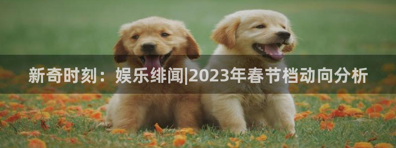 耀世娱乐官网：新奇时刻：娱乐绯闻|2023年春节档动向分析