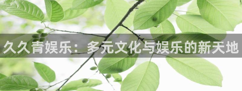 耀世娱乐主管：久久青娱乐：多元文化与娱乐的新天地
